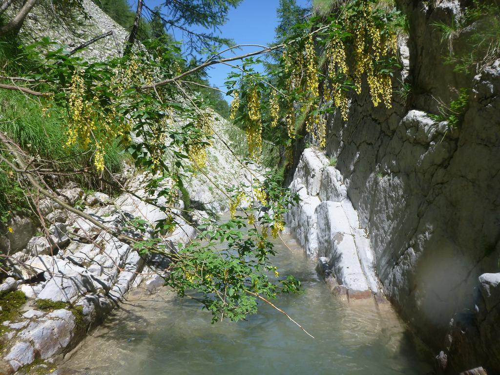 Gite Belle Valette Prads-Haute-Bleone ภายนอก รูปภาพ